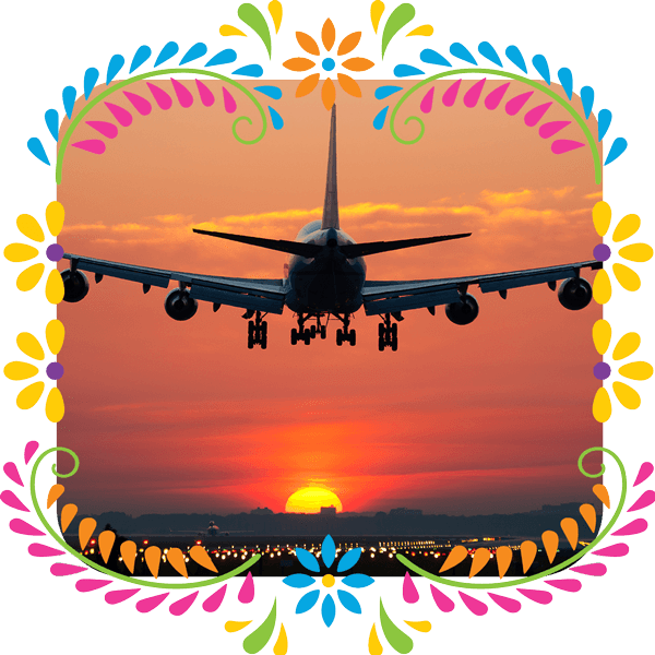 Congress-Housing-Plane Photo of plane descending in a flower border